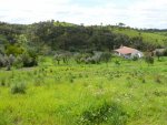 P1000266.jpg