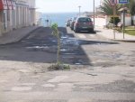 DSCF0464.jpg