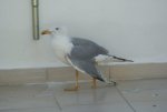 DSC00273.jpg