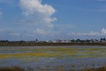 DSC00279.jpg