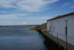 DSC00286.jpg