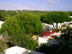PTDC0161.JPG