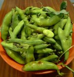 Favas.jpg Favas.jpg