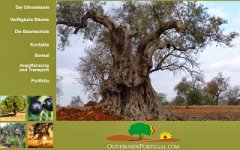 Baum.jpg Baum.jpg