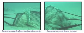 Ganchorra.jpg