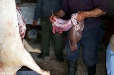 Fleisch.jpg Fleisch.jpg