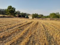 20220716_195009.jpg 20220716_195009.jpg