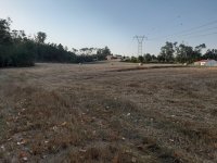 20220716_195239.jpg 20220716_195239.jpg