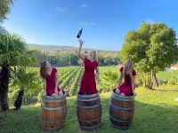 vinho.webp