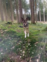 IMG_0169.jpeg