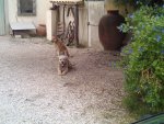 2013-11-21 13.00.23.jpg