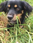 IMG-20180702-WA0014.jpg