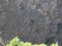 3021034.jpg 3021034.jpg