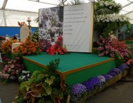 MadeiraFloraFesta%20087.jpg