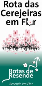 Maibaum.jpg Maibaum.jpg