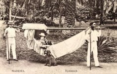 Hammock.jpg