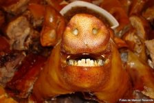 Schwein.jpg