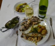 test%252520028.jpg