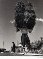 Heuwagen.jpg Heuwagen.jpg