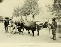 Tanklastzug.jpg Tanklastzug.jpg