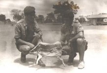 Mosambik.jpg Mosambik.jpg