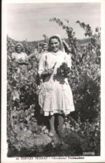 Erntehelfer.jpg Erntehelfer.jpg