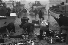 PAR286789.jpg PAR286789.jpg