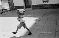 Gassenhauer.jpg Gassenhauer.jpg