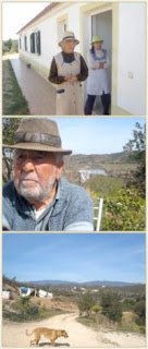 Algarve+Altenzensus.jpg