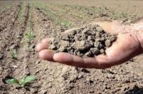 seca+agricultura.jpg