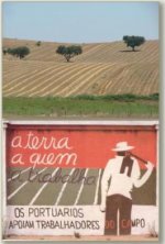 Alentejo+neue+Agrarreform.jpg