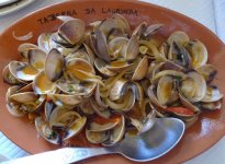 Muscheln.jpg Muscheln.jpg