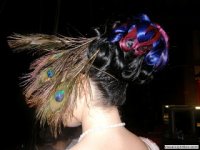 Pfau.jpg Pfau.jpg