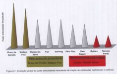 Antioxydante.jpg Antioxydante.jpg