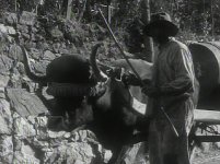 Ochsenkarre.jpg Ochsenkarre.jpg