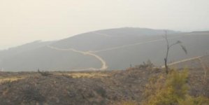 Waldbrand+Oliveira+do+Hospital.jpg
