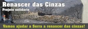 renascer+das+cinzas.jpg