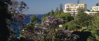 Gartenblick.jpg Gartenblick.jpg