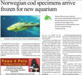 Fisch.jpg Fisch.jpg
