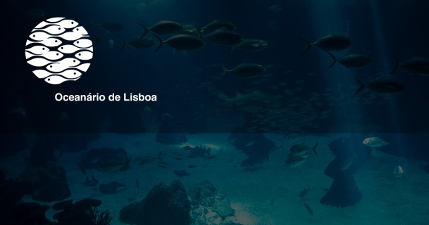 Tipp: Lissabon "Oceanário"
