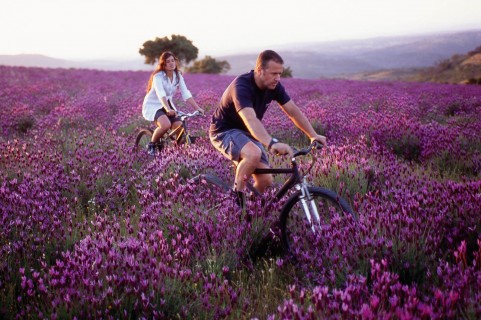 Visit Centro do Portugal
