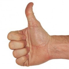 Mitfahrzentrale: "O Portal para pedir e oferecer boleia em Portugal"