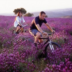 Visit Centro do Portugal