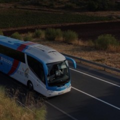 Busverkehr: "Rede Expressos"