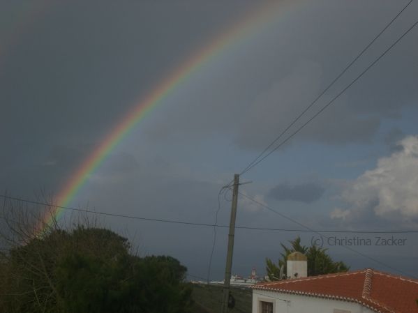 6193148kgp.jpg
