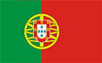 flag1.jpg