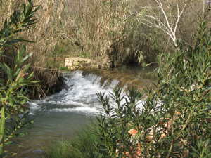 benemola17.jpg