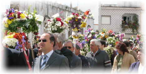 saobras4.jpg