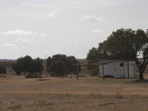 5260092.jpg