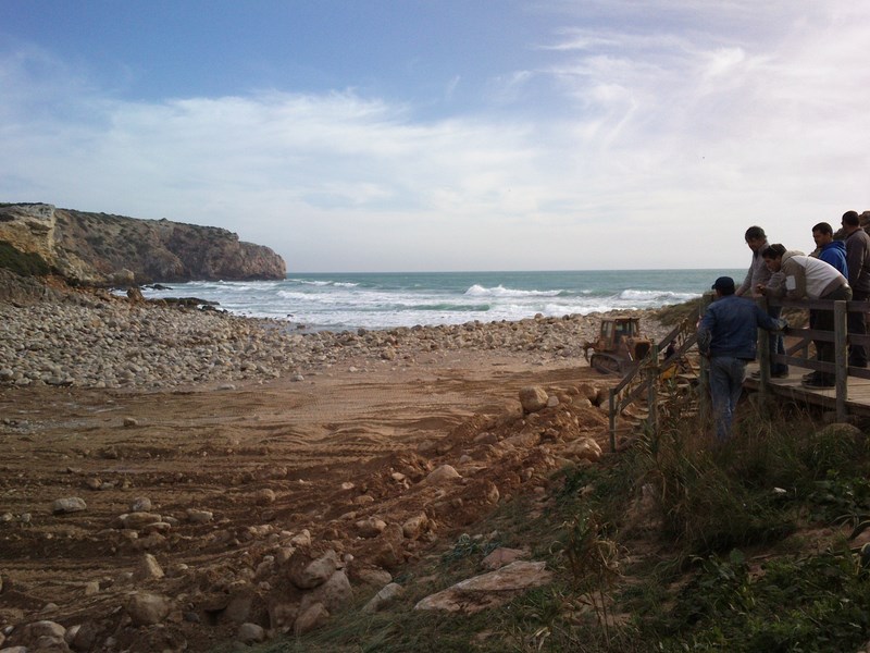 17003678sf.jpg